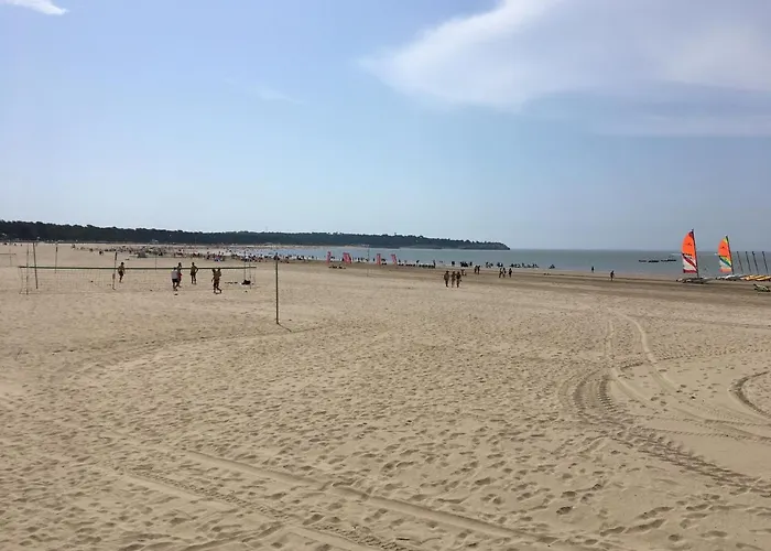 Lis Du Japon Saint-Georges-de-Didonne